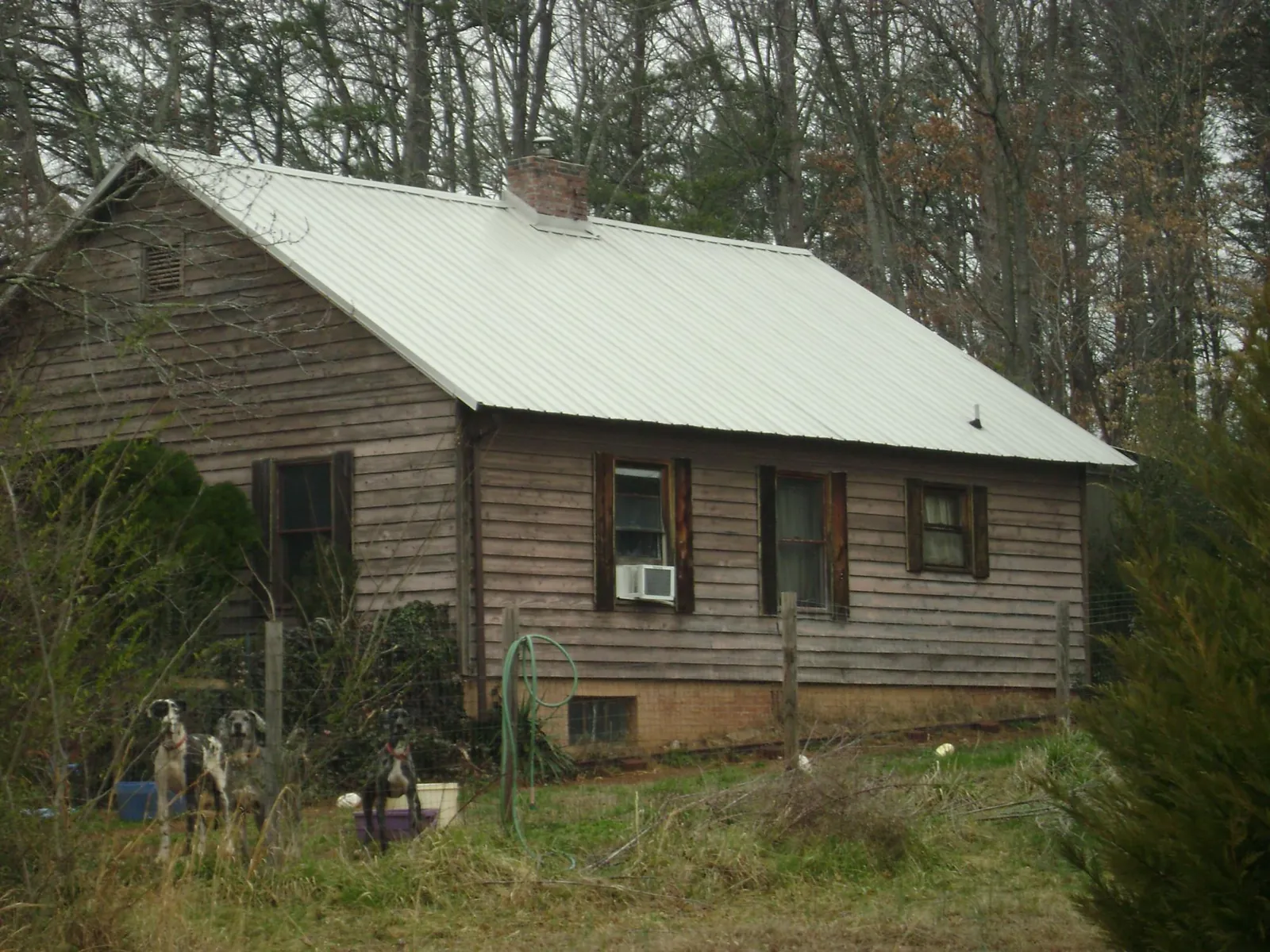 White metal roof on an old wood sided farmhouse, from a Asphalt Shingle Roof Repair job in Paxinos
